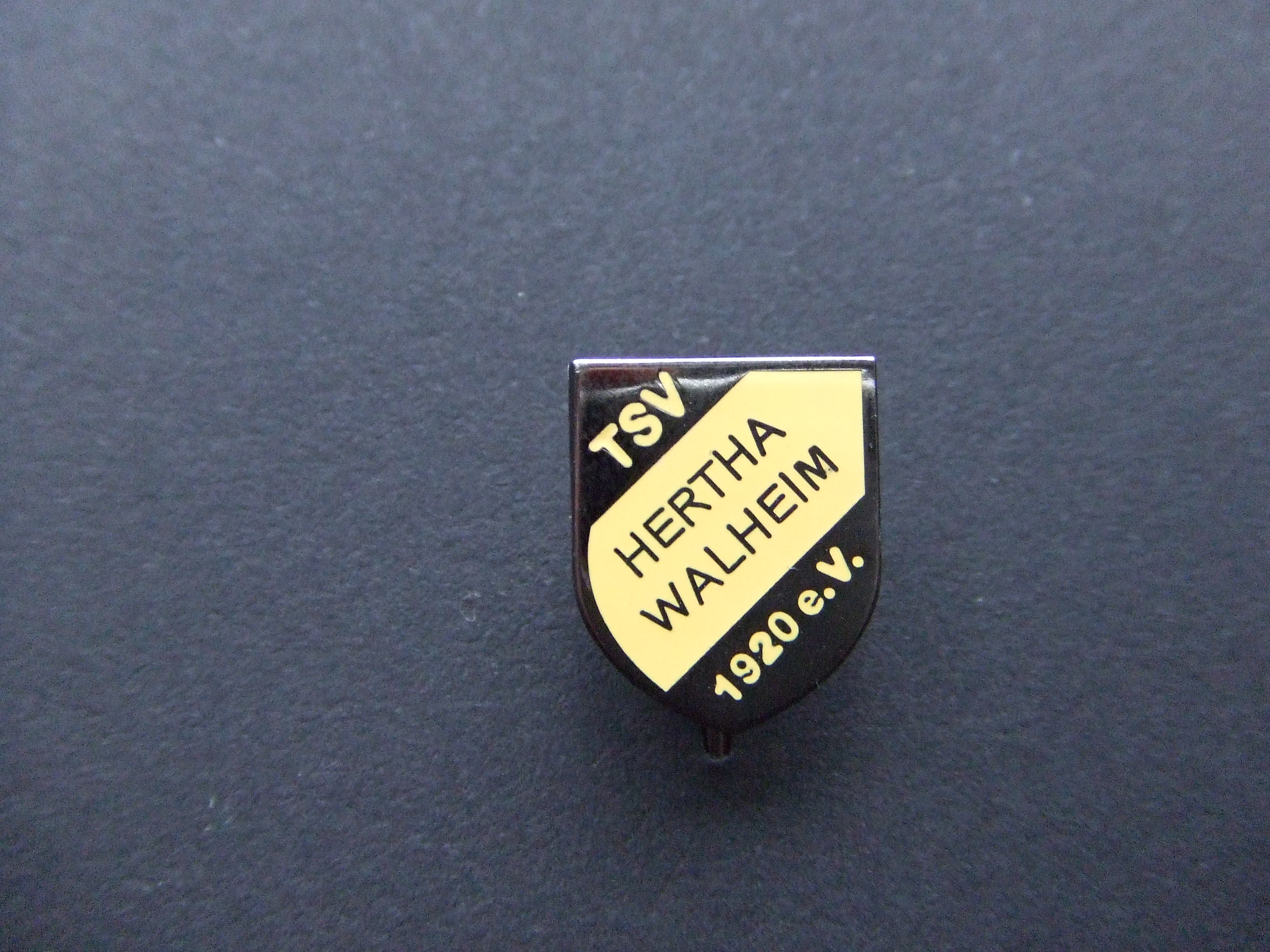 Hertha Waltheim amateur voetbalclub Duitsland